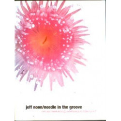 Needle in the Groove by Jeff Noon (SIGNED! Very Rare)