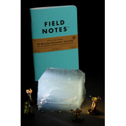 Field Notes 5E Monster / Encounter Journals (2-Pack, D&D)