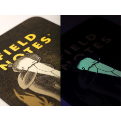 Field Notes: Haxley (Story Book & Sketch Book)