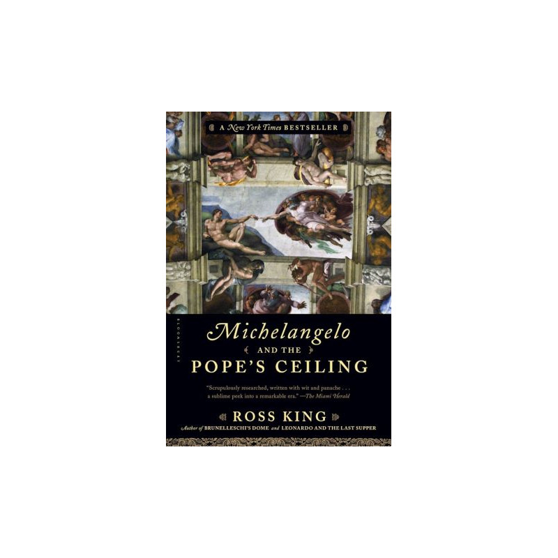 Michelangelo and the Pope's Ceiling by Ross King