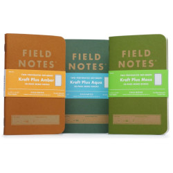 Field Notes: Amber Kraft Plus (Winter 2022, 2-packs)