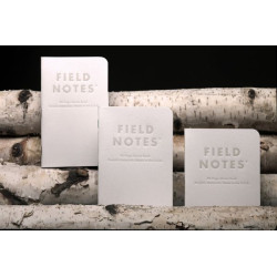 Field Notes: Birch Bark (Fall 2023)