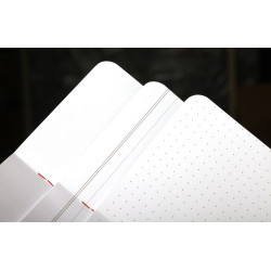 Field Notes: Flora (Spring 2024)