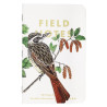 Field Notes: Birds and Trees of North America, Pack B (Fall 2024)