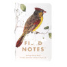 Field Notes: Birds and Trees of North America, Pack C (Fall 2024)