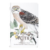 Field Notes: Birds and Trees of North America, Pack C (Fall 2024)