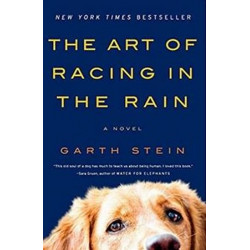 The Art of Racing in the Rain by Garth Stein