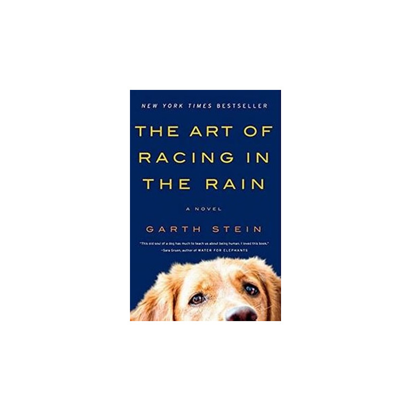 The Art of Racing in the Rain by Garth Stein