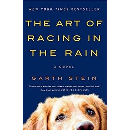 The Art of Racing in the Rain by Garth Stein