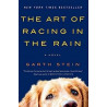The Art of Racing in the Rain by Garth Stein