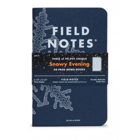 Field Notes: Snowy Evening (Winter 2020)