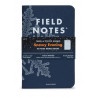 Field Notes: Snowy Evening (Winter 2020)