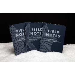 Field Notes: Snowy Evening (Winter 2020)