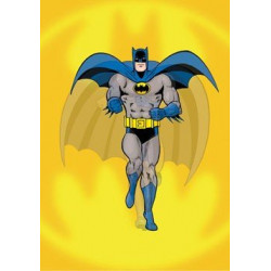 Batman Morphing Journal