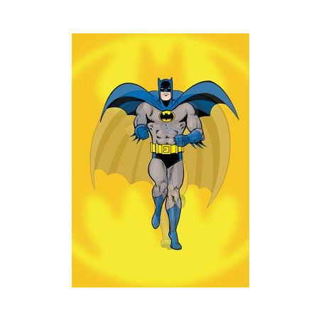 Batman Morphing Journal