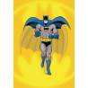 Batman Morphing Journal